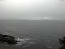 ./images/koeye/fitz-hugh/20141029/fitz-hugh20141029_105003.jpg