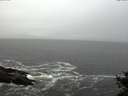 ./images/koeye/fitz-hugh/20141029/fitz-hugh20141029_110502.jpg