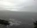 ./images/koeye/fitz-hugh/20141029/fitz-hugh20141029_111003.jpg
