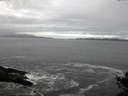 ./images/koeye/fitz-hugh/20141029/fitz-hugh20141029_112003.jpg
