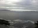 ./images/koeye/fitz-hugh/20141029/fitz-hugh20141029_112502.jpg