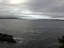 ./images/koeye/fitz-hugh/20141029/fitz-hugh20141029_114503.jpg