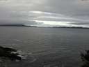 ./images/koeye/fitz-hugh/20141029/fitz-hugh20141029_115002.jpg