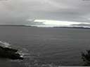 ./images/koeye/fitz-hugh/20141029/fitz-hugh20141029_120003.jpg