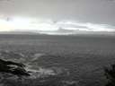 ./images/koeye/fitz-hugh/20141029/fitz-hugh20141029_122502.jpg
