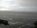./images/koeye/fitz-hugh/20141029/fitz-hugh20141029_123501.jpg