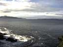 ./images/koeye/fitz-hugh/20141029/fitz-hugh20141029_125002.jpg