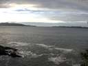 ./images/koeye/fitz-hugh/20141029/fitz-hugh20141029_132503.jpg