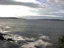 ./images/koeye/fitz-hugh/20141029/fitz-hugh20141029_134003.jpg