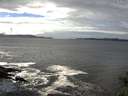 ./images/koeye/fitz-hugh/20141029/fitz-hugh20141029_134502.jpg