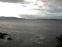 ./images/koeye/fitz-hugh/20141029/fitz-hugh20141029_140503.jpg