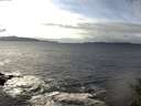./images/koeye/fitz-hugh/20141029/fitz-hugh20141029_142002.jpg