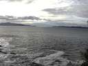 ./images/koeye/fitz-hugh/20141029/fitz-hugh20141029_143501.jpg