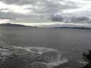 ./images/koeye/fitz-hugh/20141029/fitz-hugh20141029_145001.jpg