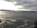 ./images/koeye/fitz-hugh/20141029/fitz-hugh20141029_151003.jpg