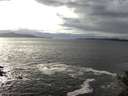 ./images/koeye/fitz-hugh/20141029/fitz-hugh20141029_151502.jpg