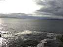 ./images/koeye/fitz-hugh/20141029/fitz-hugh20141029_152003.jpg