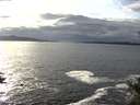 ./images/koeye/fitz-hugh/20141029/fitz-hugh20141029_153503.jpg