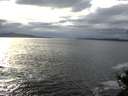./images/koeye/fitz-hugh/20141029/fitz-hugh20141029_155503.jpg