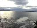 ./images/koeye/fitz-hugh/20141029/fitz-hugh20141029_160502.jpg