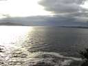 ./images/koeye/fitz-hugh/20141029/fitz-hugh20141029_161002.jpg