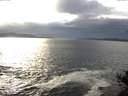 ./images/koeye/fitz-hugh/20141029/fitz-hugh20141029_162002.jpg