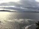 ./images/koeye/fitz-hugh/20141029/fitz-hugh20141029_164001.jpg
