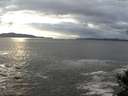 ./images/koeye/fitz-hugh/20141029/fitz-hugh20141029_164502.jpg