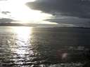 ./images/koeye/fitz-hugh/20141029/fitz-hugh20141029_170501.jpg