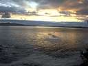 ./images/koeye/fitz-hugh/20141029/fitz-hugh20141029_175503.jpg