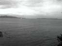 ./images/koeye/fitz-hugh/20141030/fitz-hugh20141030_075002.jpg