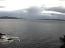 ./images/koeye/fitz-hugh/20141030/fitz-hugh20141030_091503.jpg