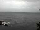 ./images/koeye/fitz-hugh/20141030/fitz-hugh20141030_102002.jpg