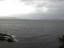 ./images/koeye/fitz-hugh/20141030/fitz-hugh20141030_104001.jpg