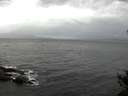 ./images/koeye/fitz-hugh/20141030/fitz-hugh20141030_104502.jpg