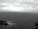 ./images/koeye/fitz-hugh/20141030/fitz-hugh20141030_111002.jpg