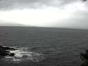 ./images/koeye/fitz-hugh/20141030/fitz-hugh20141030_112002.jpg