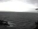 ./images/koeye/fitz-hugh/20141030/fitz-hugh20141030_112503.jpg