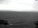./images/koeye/fitz-hugh/20141030/fitz-hugh20141030_113502.jpg