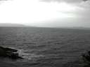 ./images/koeye/fitz-hugh/20141030/fitz-hugh20141030_114003.jpg