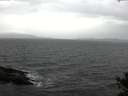 ./images/koeye/fitz-hugh/20141030/fitz-hugh20141030_114502.jpg