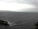 ./images/koeye/fitz-hugh/20141030/fitz-hugh20141030_115002.jpg