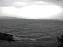 ./images/koeye/fitz-hugh/20141030/fitz-hugh20141030_115502.jpg