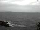 ./images/koeye/fitz-hugh/20141030/fitz-hugh20141030_120502.jpg