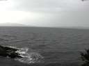 ./images/koeye/fitz-hugh/20141030/fitz-hugh20141030_121003.jpg