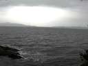 ./images/koeye/fitz-hugh/20141030/fitz-hugh20141030_121503.jpg