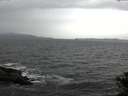 ./images/koeye/fitz-hugh/20141030/fitz-hugh20141030_122003.jpg