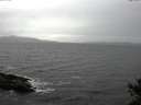 ./images/koeye/fitz-hugh/20141030/fitz-hugh20141030_124502.jpg
