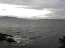 ./images/koeye/fitz-hugh/20141030/fitz-hugh20141030_132502.jpg