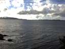 ./images/koeye/fitz-hugh/20141030/fitz-hugh20141030_145001.jpg